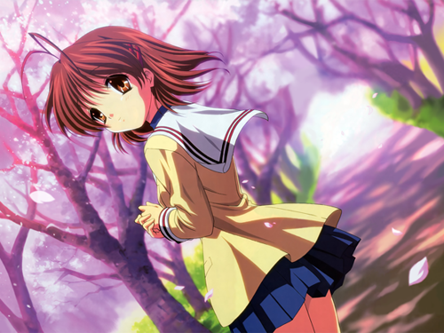 Anime's TRUE Best Girl - Clannad is Perfect (for me) 